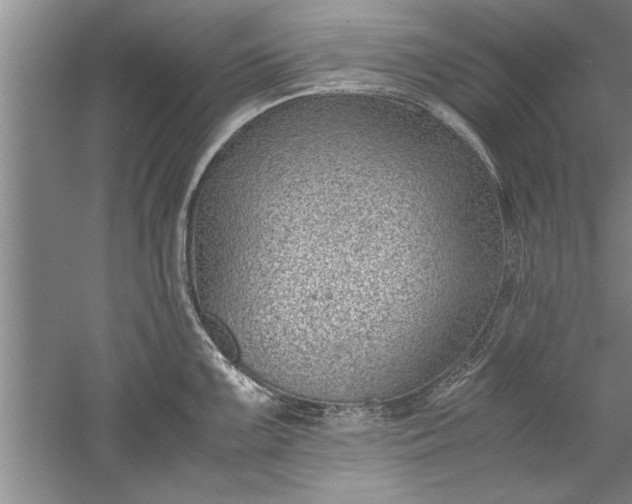 X0000052551099200507152153