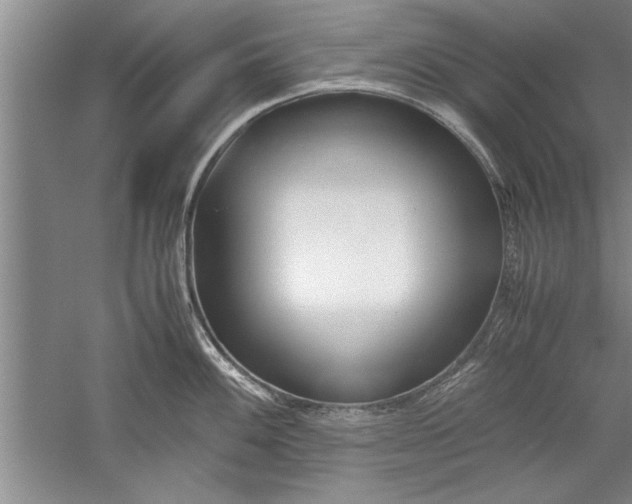 X0000052551100200507152153