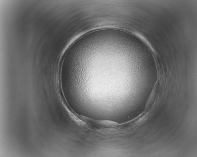 X0000052551101200507152153