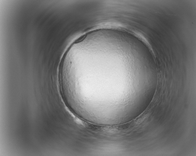 X0000052551103200507152153