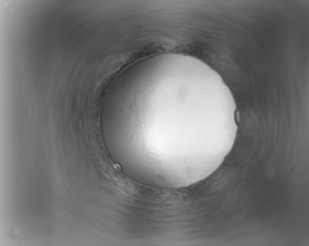 X0000052551105200507152152