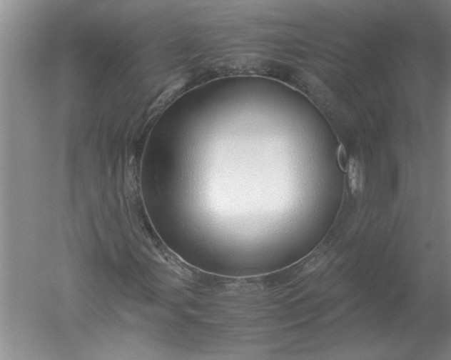 X0000052551107200507152152