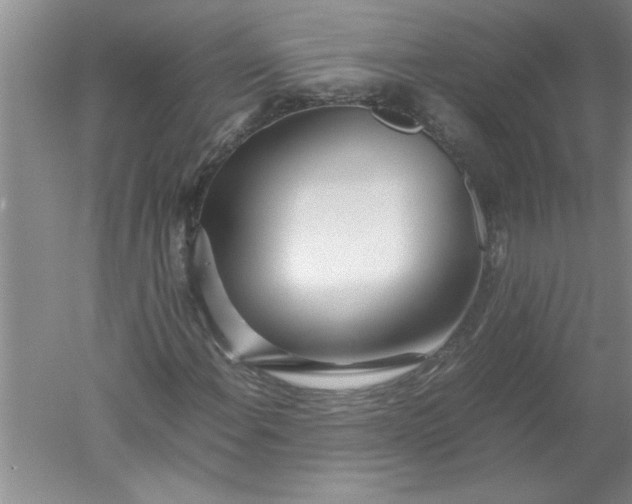 X0000052551108200507152152