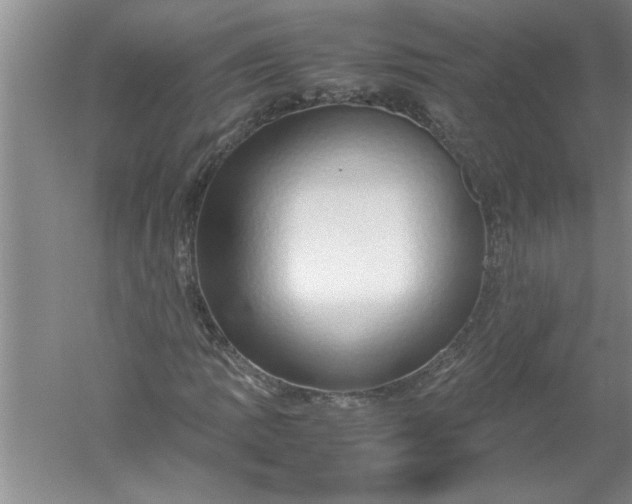 X0000052551109200507152152