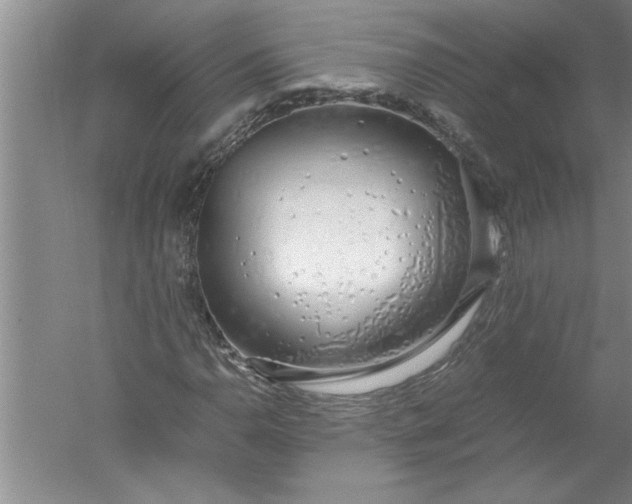 X0000052551110200507152152