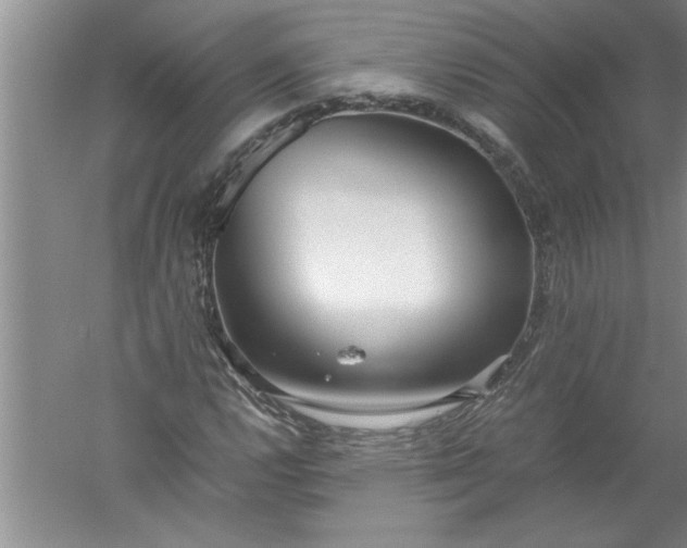 X0000052551112200507152152