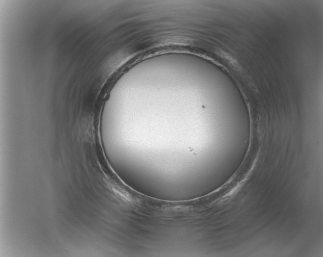 X0000052551113200507152152