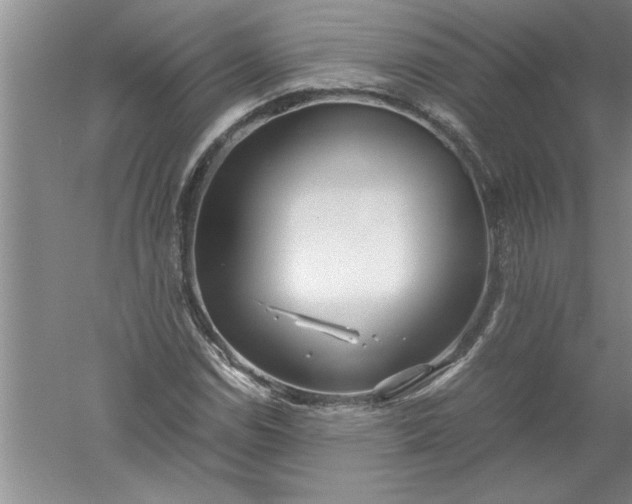 X0000052551114200507152152