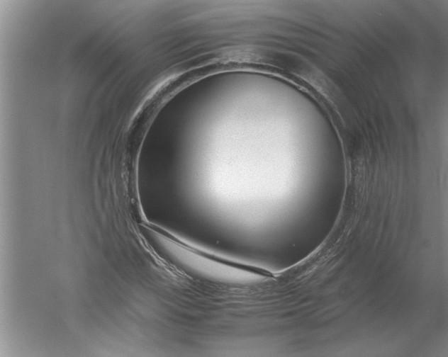 X0000052551115200507152152