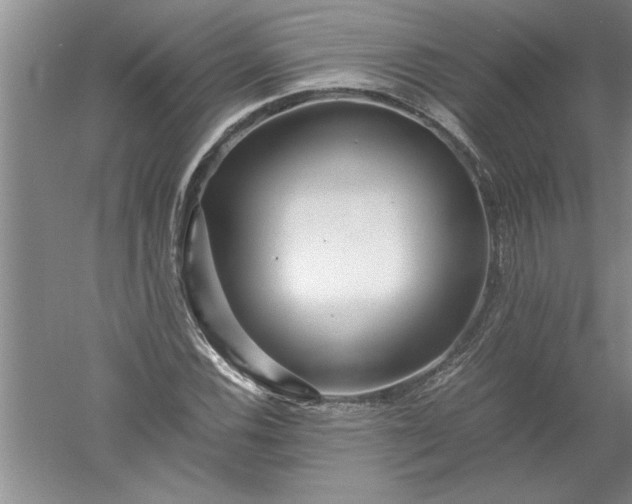 X0000052551116200507152152