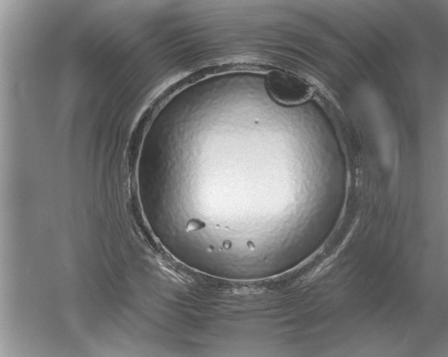 X0000052551117200507152152