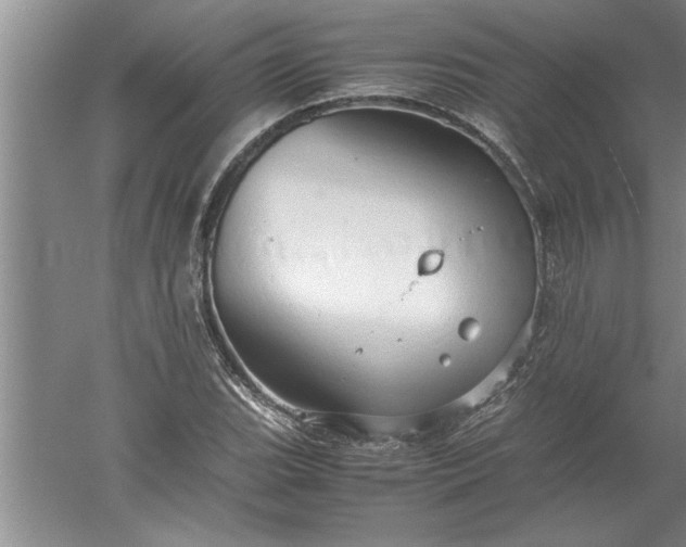 X0000052551119200507152152