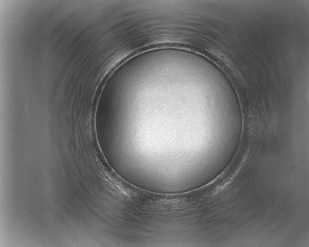 X0000052551121200507152152