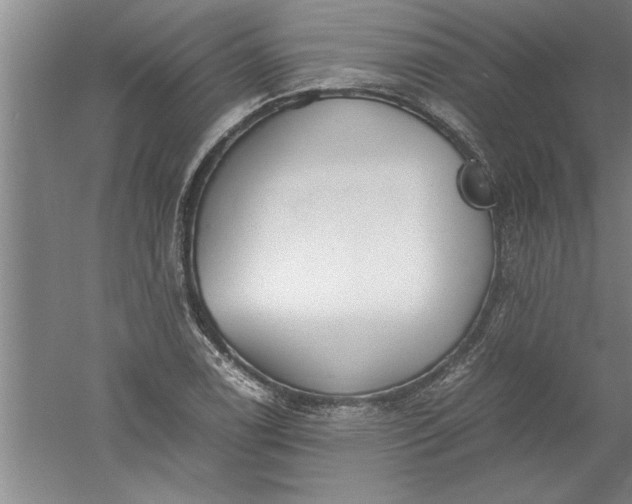 X0000052551122200507152152