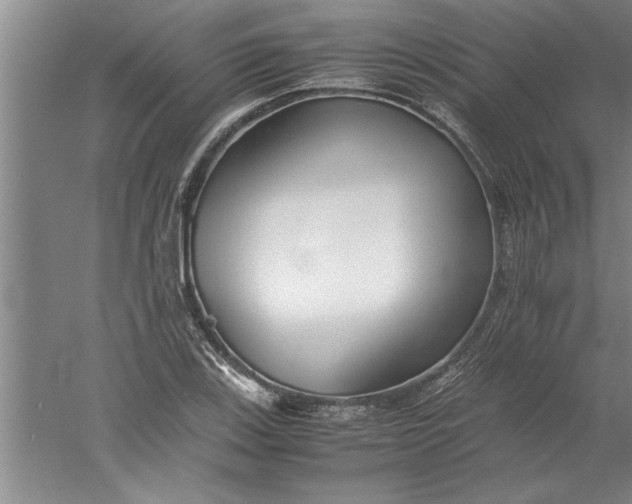 X0000052551123200507152152