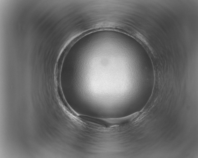 X0000052551124200507152152