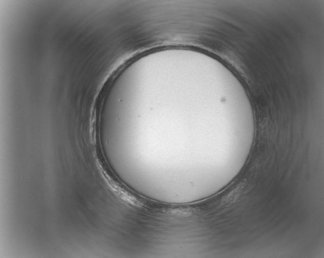 X0000052551126200507152152