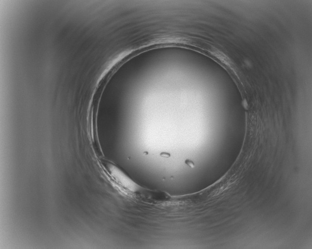 X0000052551127200507152152