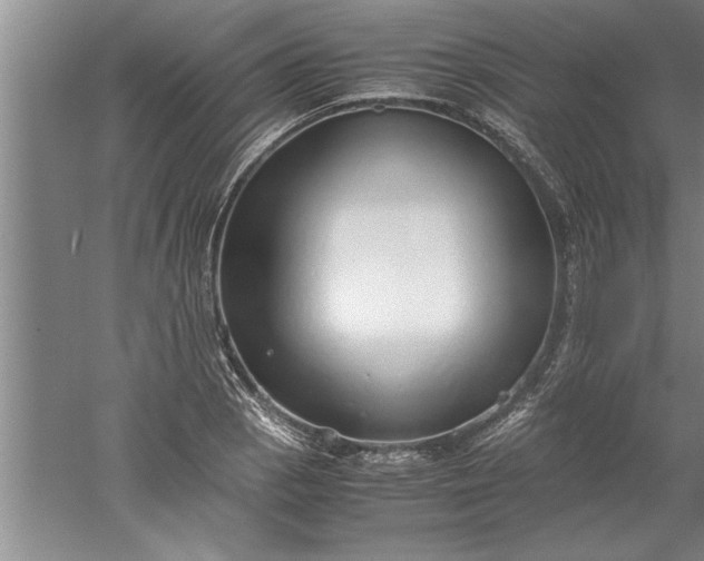 X0000052551129200507152152