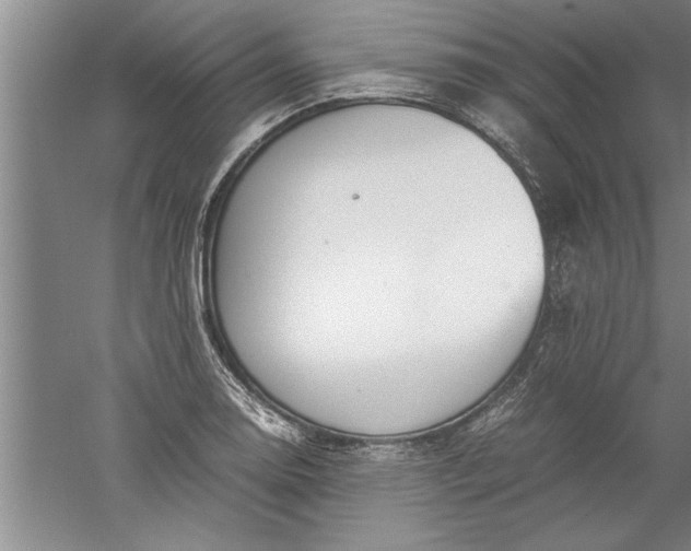 X0000052551130200507152153