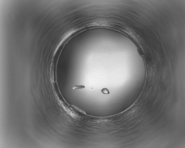 X0000052551131200507152153