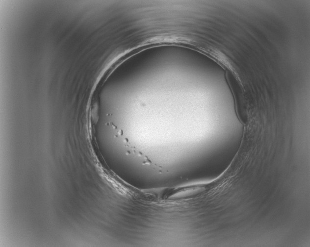 X0000052551132200507152153