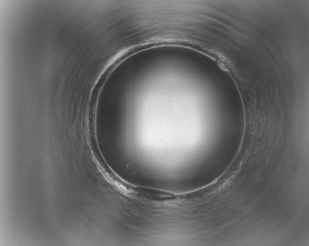 X0000052551134200507152153