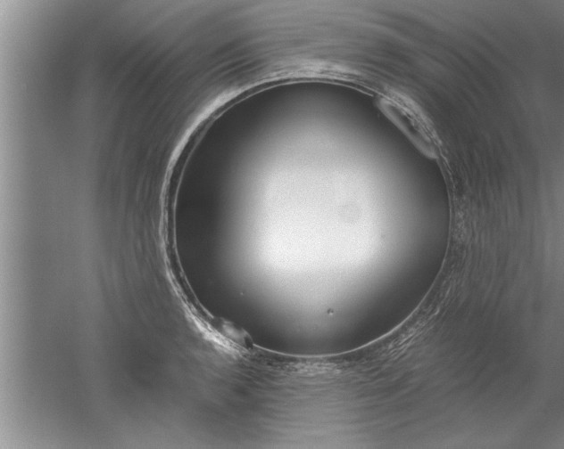 X0000052551136200507152153