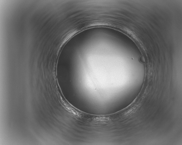 X0000052551137200507152153