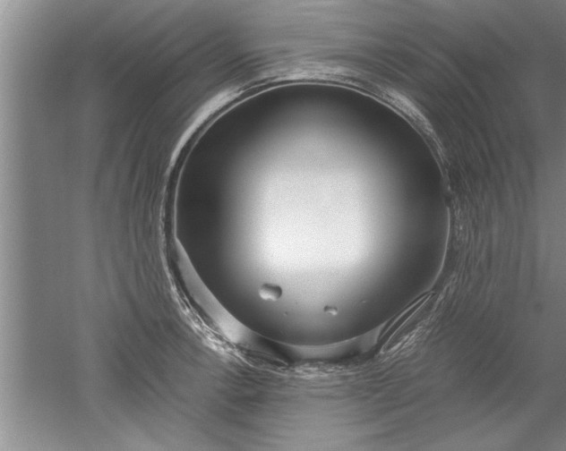 X0000052551138200507152153