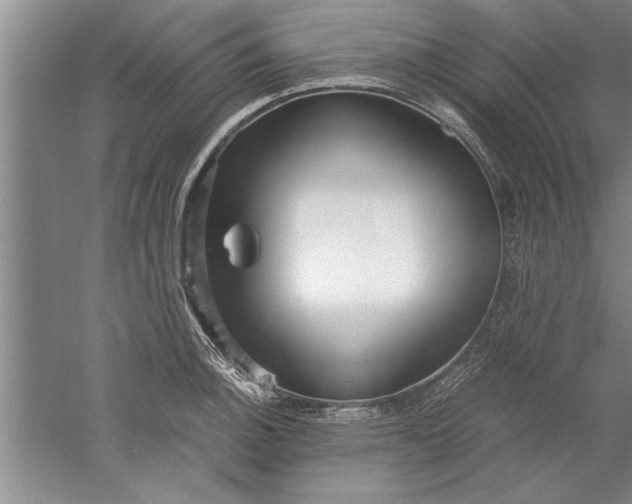 X0000052551140200507152153