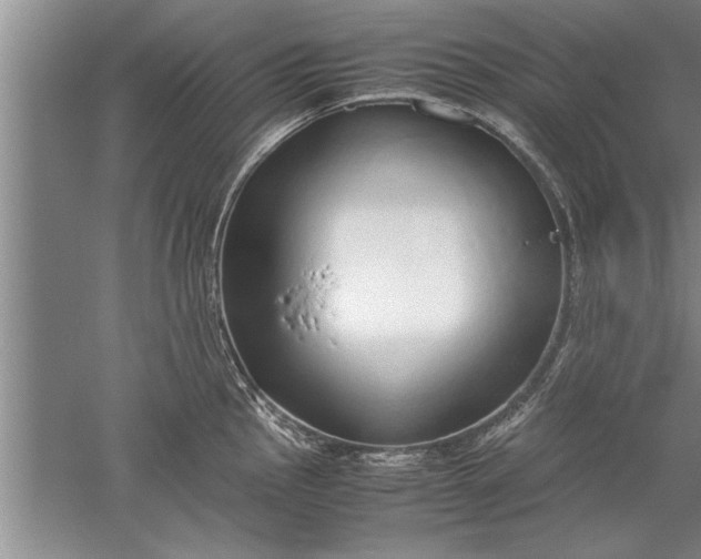 X0000052551145200507152153