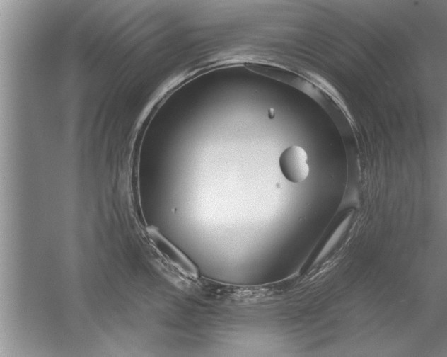 X0000052551146200507152153