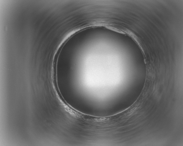 X0000052551147200507152153