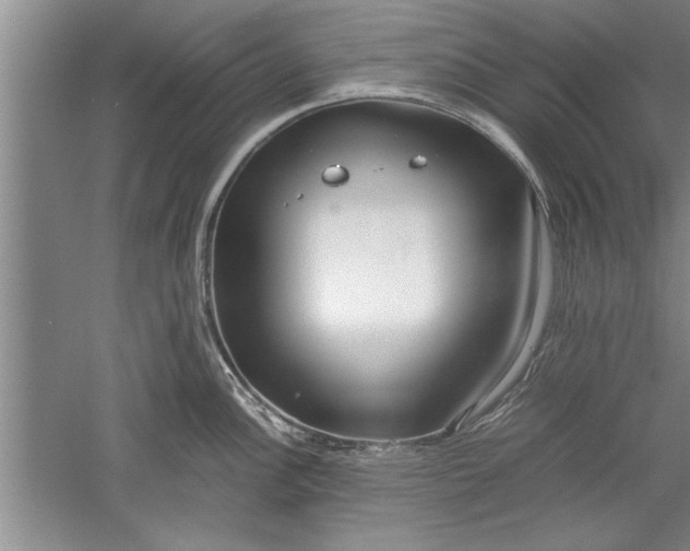 X0000052551148200507152153