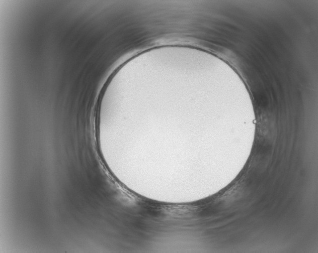 X0000052551150200507152153