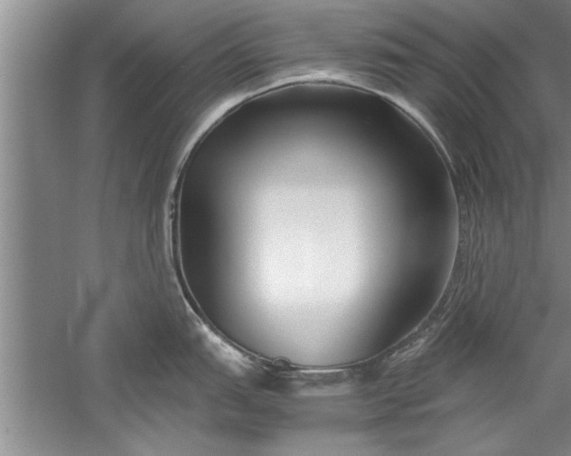 X0000052551151200507152153