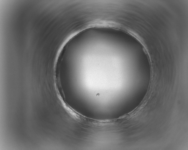 X0000052551152200507152153