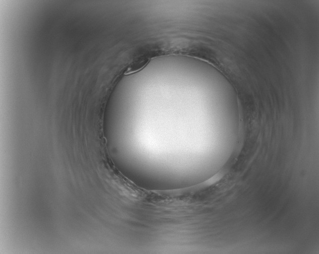 X0000052551153200507152152