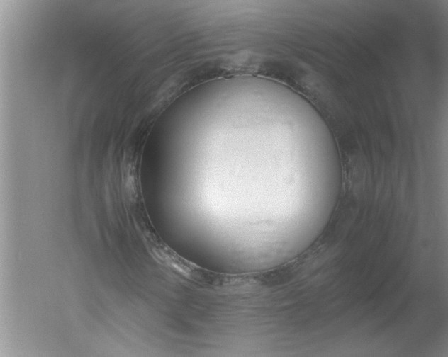 X0000052551154200507152152