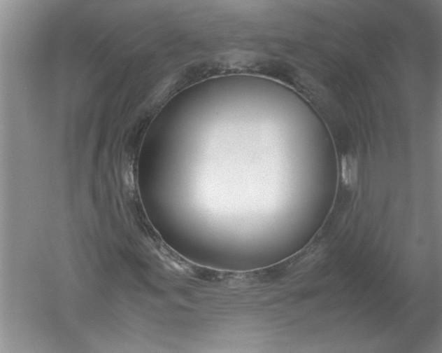 X0000052551155200507152152