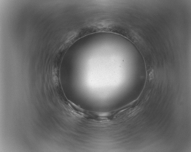 X0000052551156200507152152