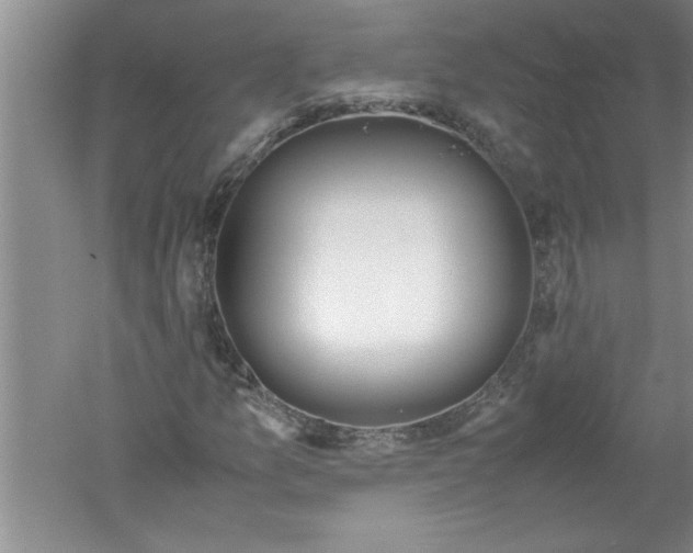 X0000052551157200507152152