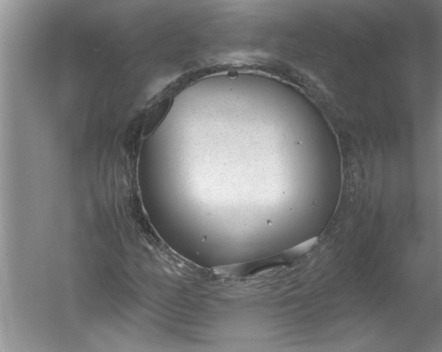 X0000052551158200507152152