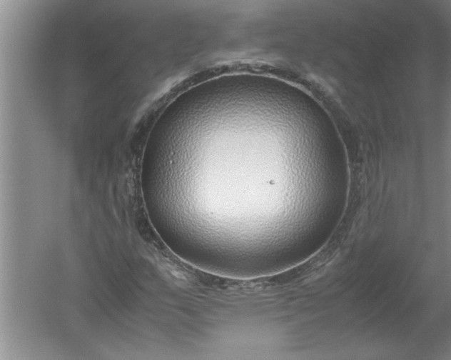 X0000052551159200507152152