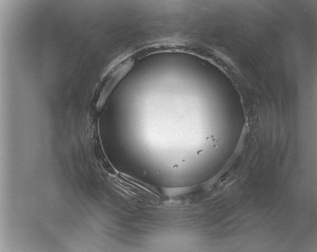 X0000052551160200507152152