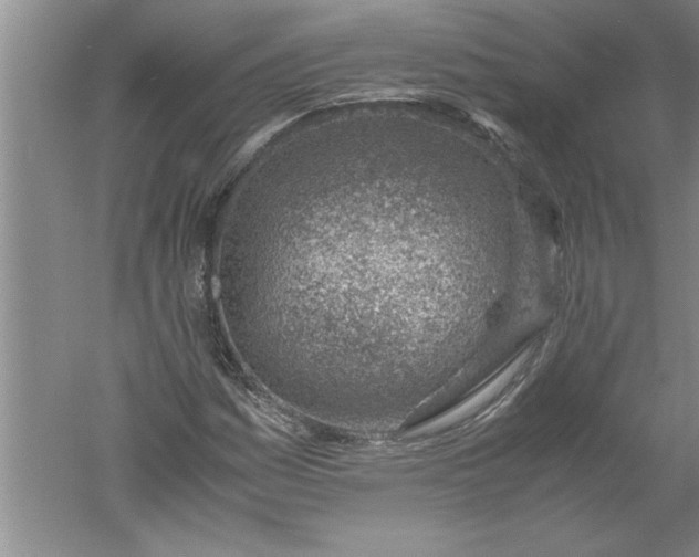 X0000052551161200507152152