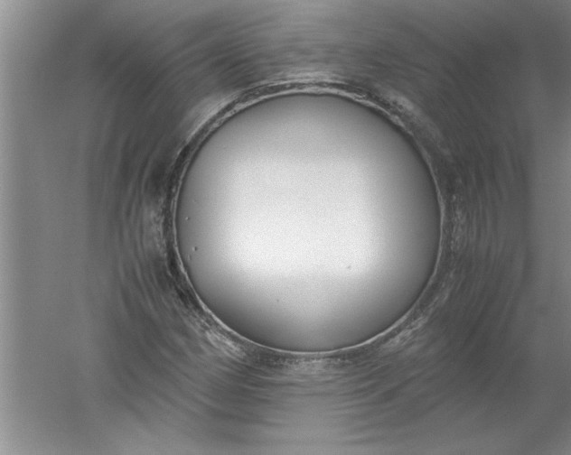 X0000052551162200507152152