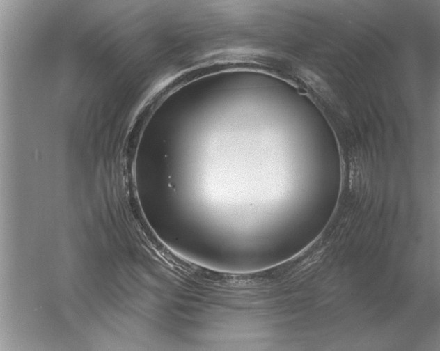 X0000052551164200507152152