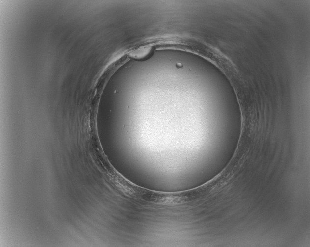 X0000052551166200507152152